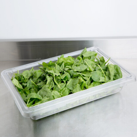 Caja Organizadora Policarbonato 6.6 litros. Caja Organizadora Policarbonato 6.6 litros.
