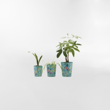 MACETERO FRIDA Celeste - Medium