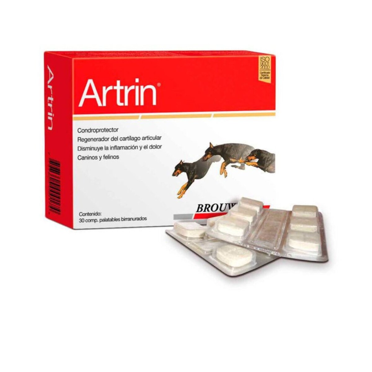 Artrin Caja * 30 Comp 