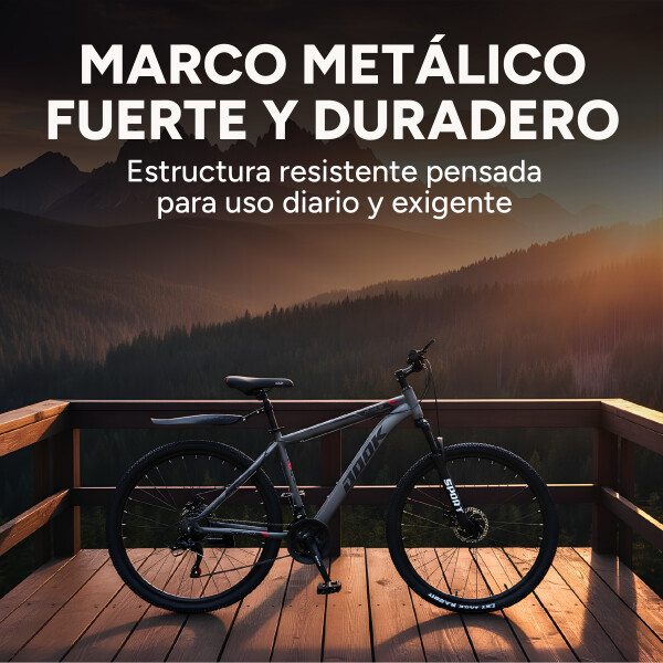 Bicicleta Jook Montaña Rod 29 Freno Disco 21 Velocid Shimano Color Gris