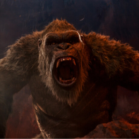 Battle-Ready Kong · Godzilla vs Kong - 1020 Battle-Ready Kong · Godzilla vs Kong - 1020