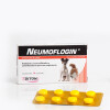 Neumoflogin 16 Comprimidos Neumoflogin 16 Comprimidos