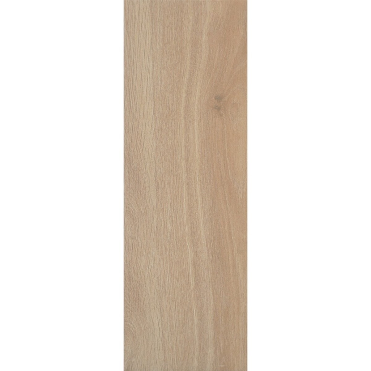 G.verna Oak "a" 20.5x61.5 Stn 