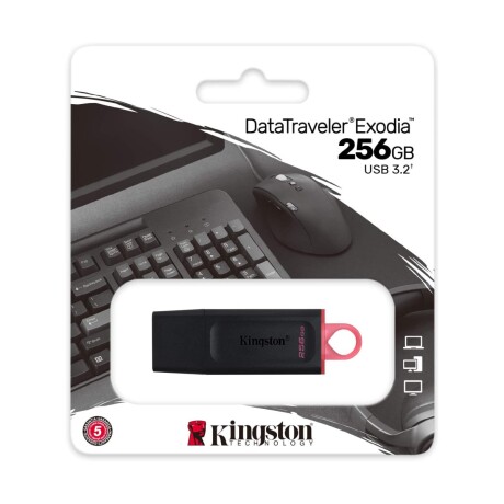PENDRIVE KINGSTON DATATRAVELER EXODIA 256GB USB 3.2 Negro / rosado