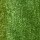 PANTALON METALIZADO AMARANTO Verde