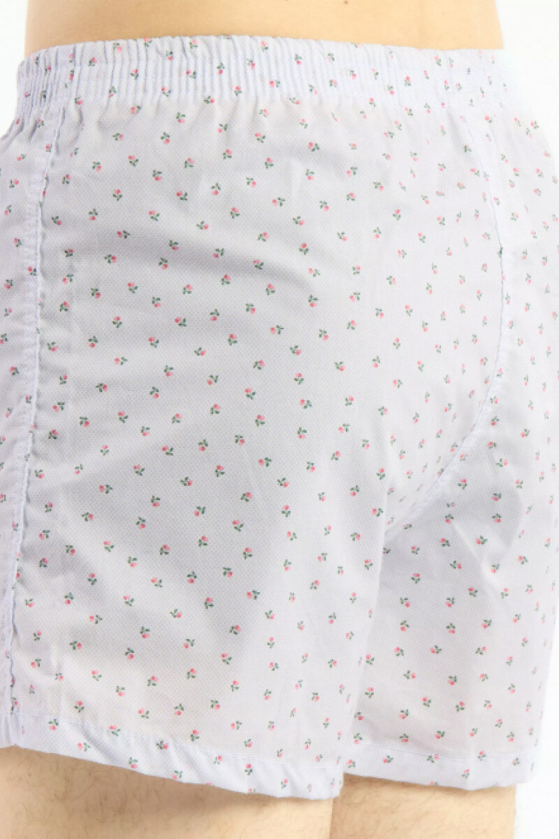 Bóxer Kevingston DW2