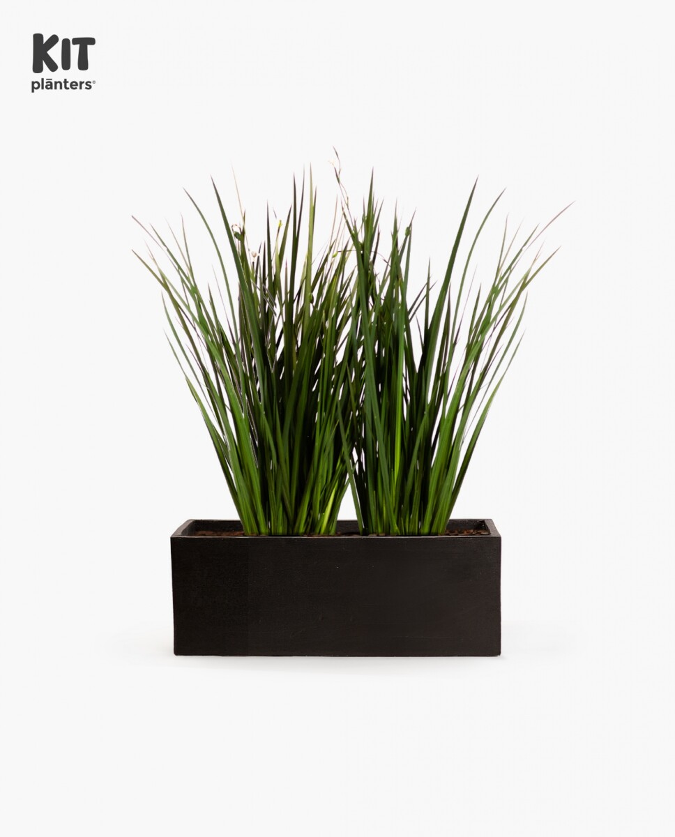 KIT Jardinera - "Negro mate" 80cm* 30cm* 30cm* C/ Dietes y Sustratos 
