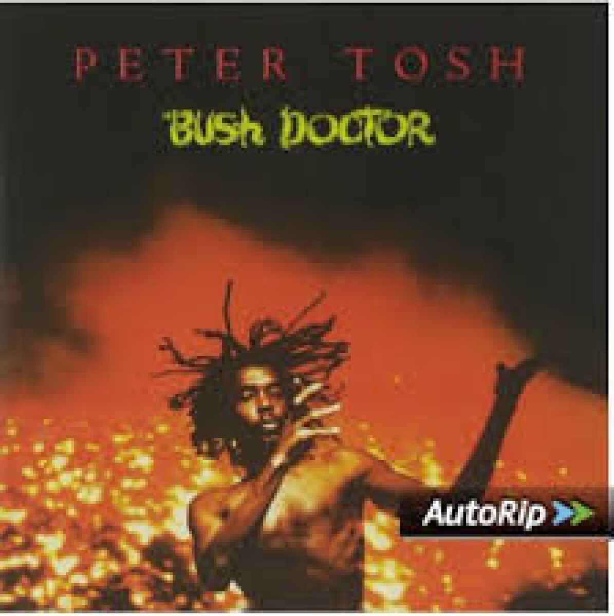 Tosh, Peter - Bush Doctor - Vinilo 
