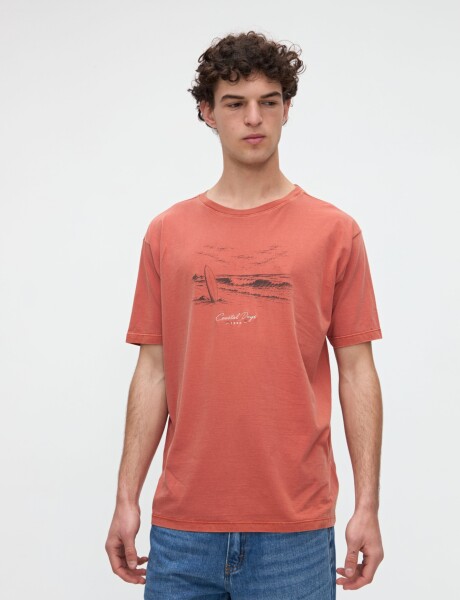 Remera Floyd Ladrillo