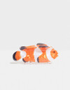 Broche Playa Broche De Pez Payaso - Combinacion Tricolor