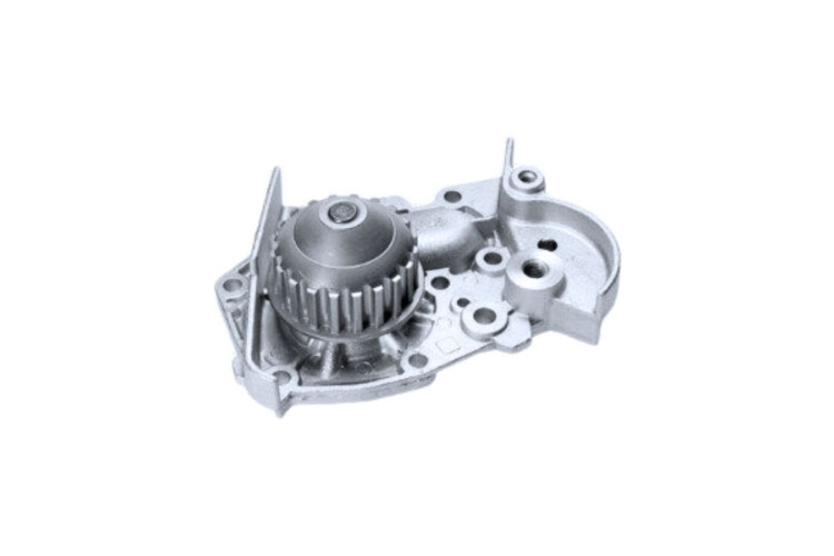 Bomba De Agua Sin Carcaza Bomba De Agua Sin Carcaza