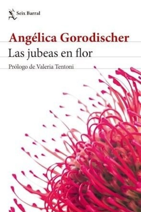 LAS JUBEAS EN FLOR LAS JUBEAS EN FLOR