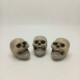 Set Cabeza De Esqueleto X3 Set Cabeza De Esqueleto X3