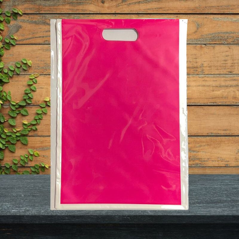 Bolsas de Nylon Colores Lisos x10 Fucsia