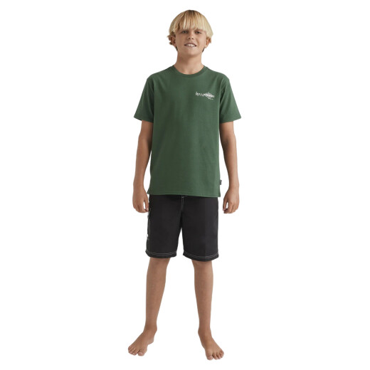 Remera de Niño Billabong Spec 73 Iconic - Verde Remera de Niño Billabong Spec 73 Iconic - Verde