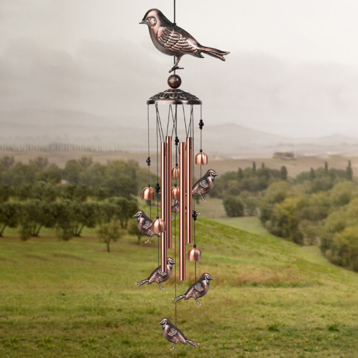 Llamador De Ángeles Animales - Aves 