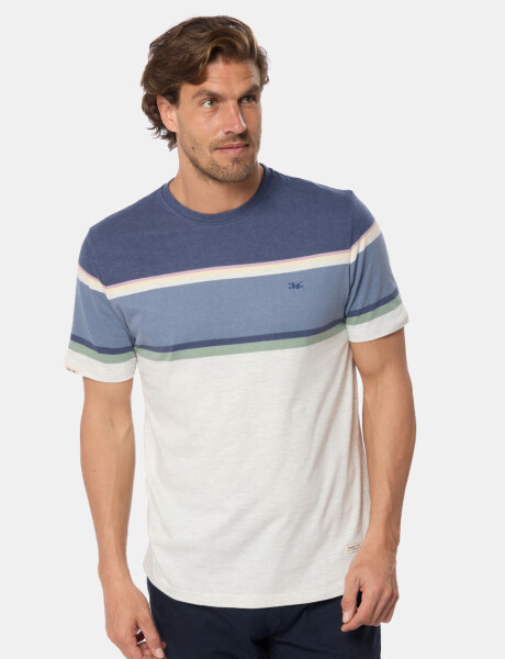 REMERA RAYADA Gris