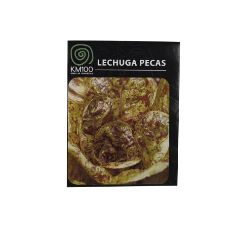 Semillas de lechuga pecas KM100 Semillas Lechuga Pecas