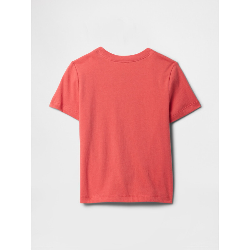 V-BF SS GR TEE WATERMELON ICE