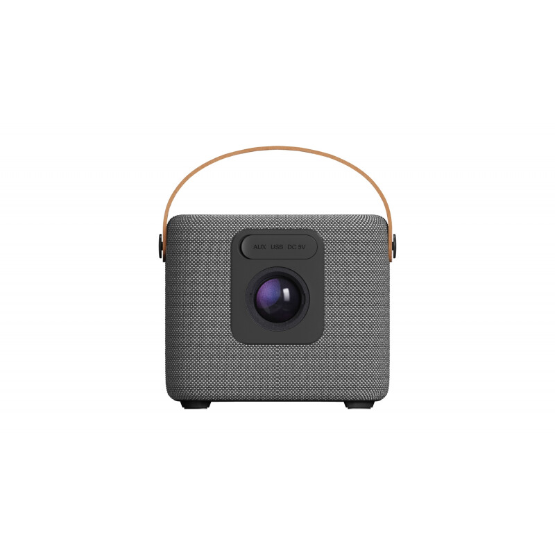 Parlante Activo Bluetooth Portátil 14W P.M.P.O. | AIWA Gris | AWSS70BTGC