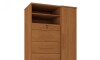 Cómoda zapatera Imperial 1 Puerta 5 Cajones Cinamomo