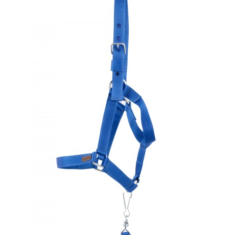 bozal con cabresto de cinta azul