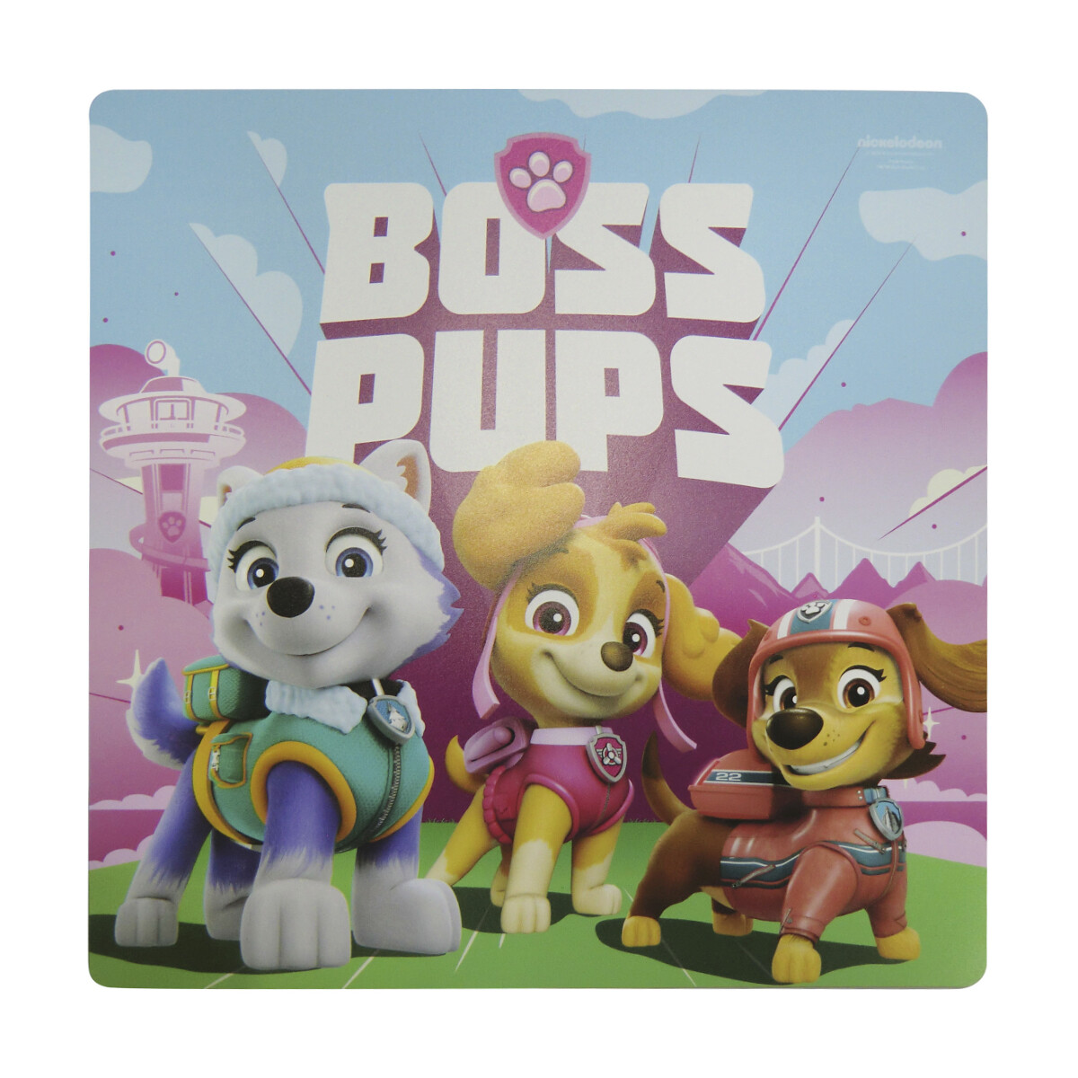 Individual Plástico Paw Patrol 30 x 30 cm 