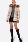 CAMPERA LION Champagne