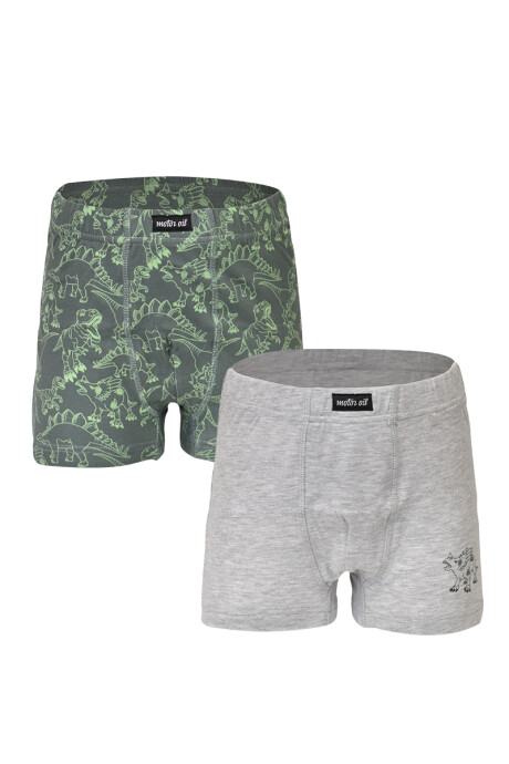 Pack x2 - Boxer estampado de algodón con diseño de dinosaurios