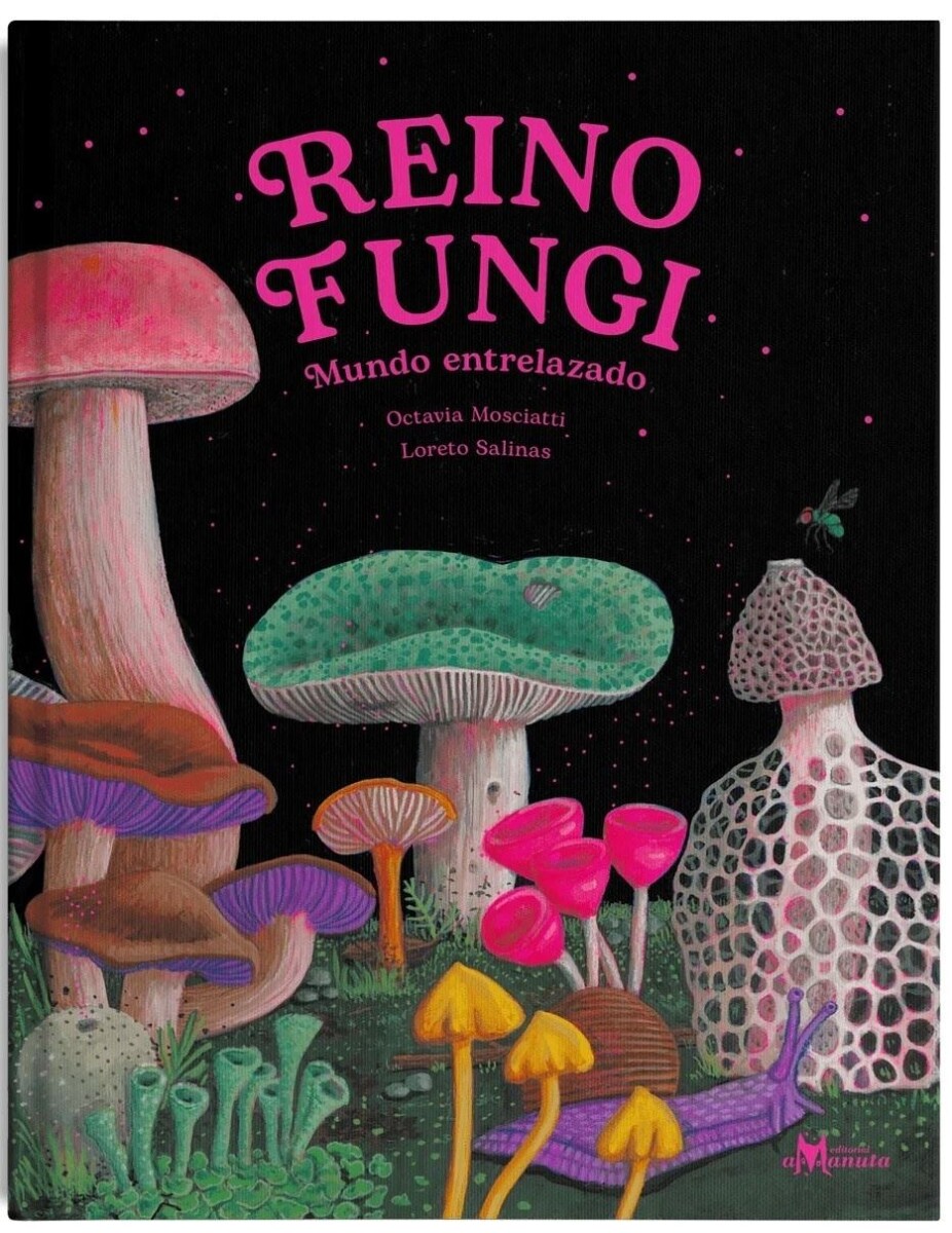 Reino Fungi 