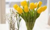 Ramo 9 Tulipanes - Naranja Ramo 9 Tulipanes - Naranja