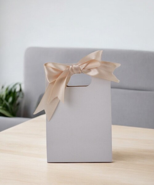 Bolsa cartulina sacabocado 10x05x15 cm BLANCO