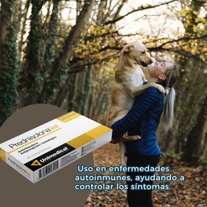 PREDNISOLONA 40 MG X CAJA DE 10 COMPRIMIDOS PREDNISOLONA 40 MG X CAJA DE 10 COMPRIMIDOS