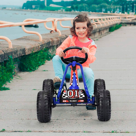 Auto Karting A Pedal Cuatriciclo Con Freno Para Niño Azul