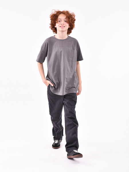 REMERA BERTINO GRIS (V)