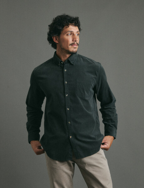 012613 CAMISA HARRY Verde