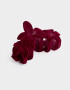 Broche Hawaianas Broche Hawaianas - Rojo Burdeaux