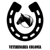 Veterinaria Colonia