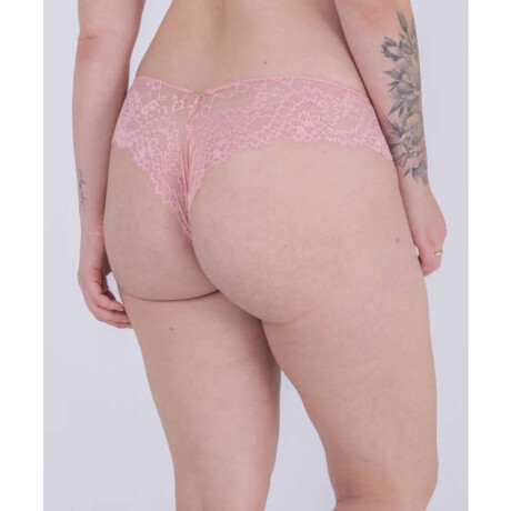 P22500-colaless punt & tul Rosa antique