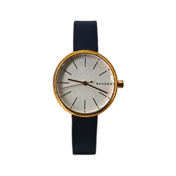 SKAGEN SKW2592 doradouniforme