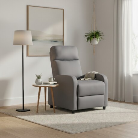 Butaca reclinable - 1 Cuerpo gris claro