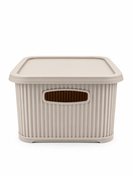CAJA ORGANIZADORA C/ TAPA BEIGE