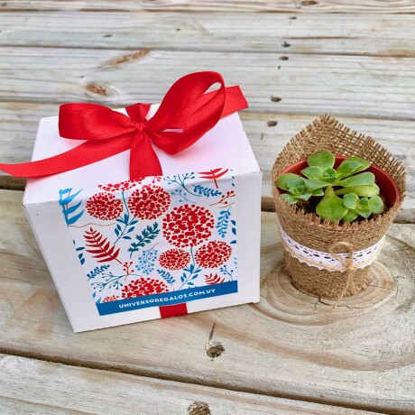 Desayuno con Regalo Desayuno con Regalo