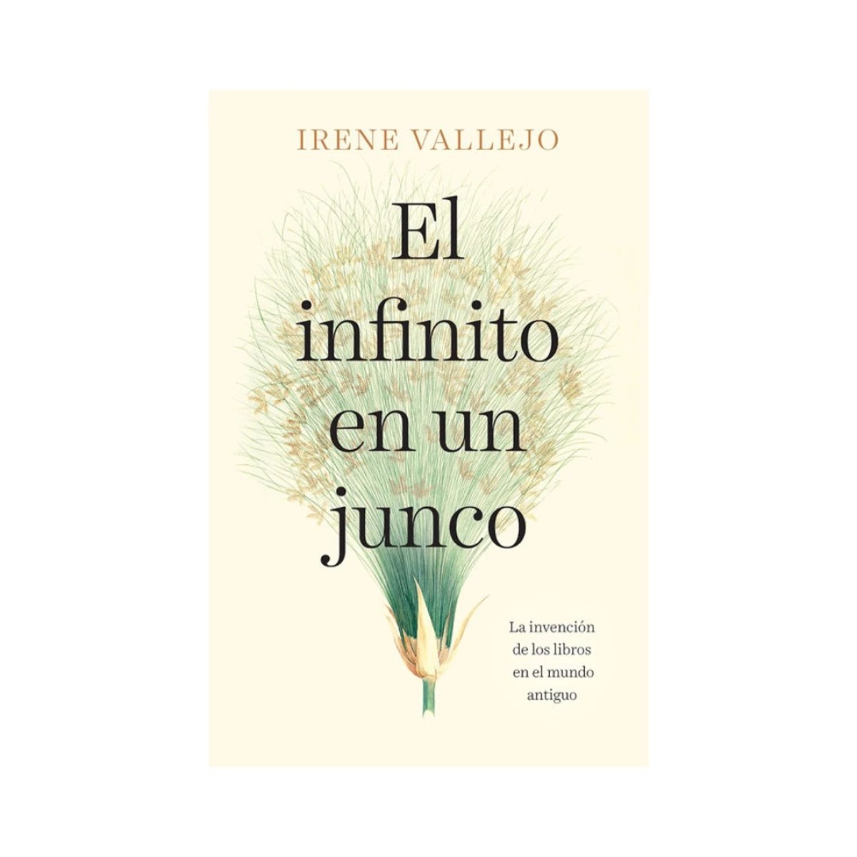 Libro el Infinito en un Junco de Irene Vallejo 