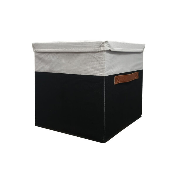 Organizador con tapa bicolor Organizador con tapa bicolor