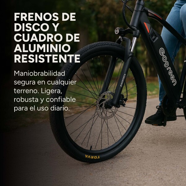 Bicicleta Electrica Gogreen Mountain 27.5 250W 36V Shimano Variante Color Negro