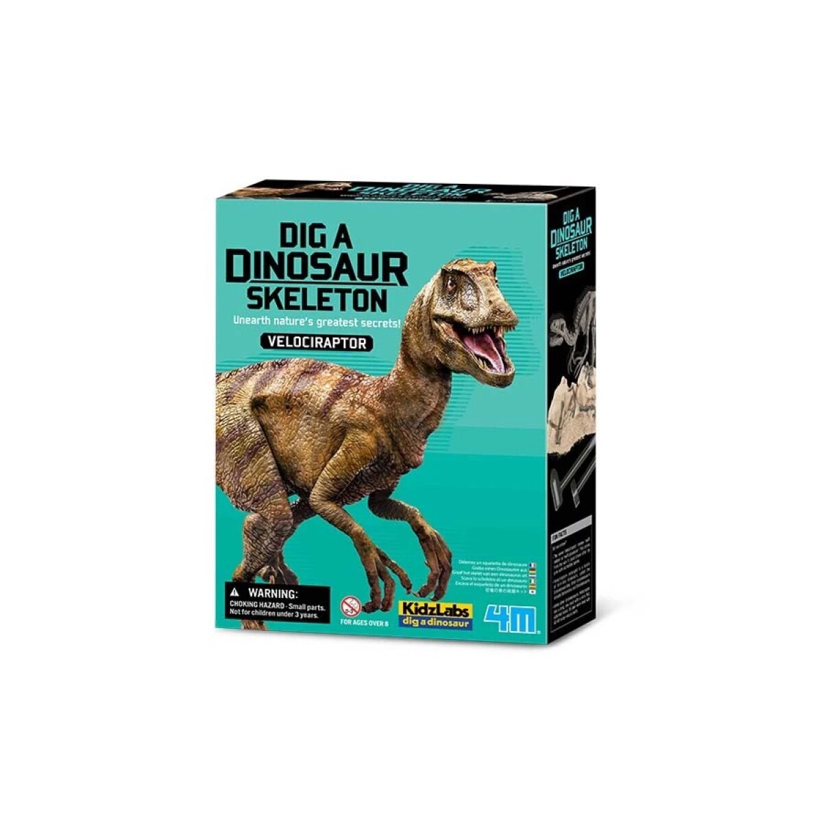 Kit de Excavación Velociraptor – Descubre Tu Dinosaurio 