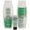 Primicia super pack promo cabello graso Sh+Aco+Exfoliante Primicia super pack promo cabello graso Sh+Aco+Exfoliante
