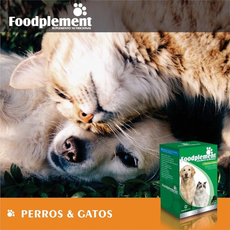 SUPLEMENTO NUTRICIONAL FOODPLEMENT CAJA DE 250 G SUPLEMENTO NUTRICIONAL FOODPLEMENT CAJA DE 250 G