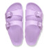 Arizona EVA Kids FLB Crocus Crocus